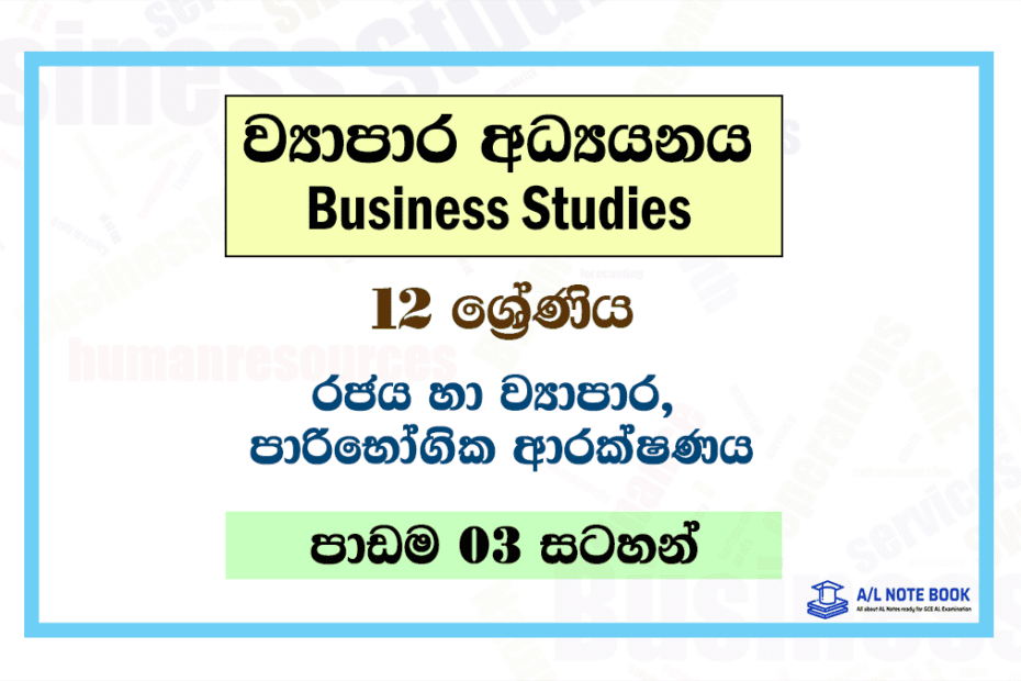 Rajaya Ha Viyapara | Grade 12 Business Studies Lesson 03 Notes