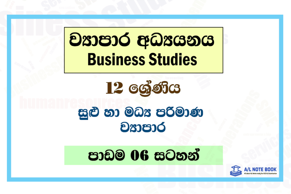 Sulu ha Madhya Parimana Viyapara | Grade 12 Business Studies Lesson 06 Notes