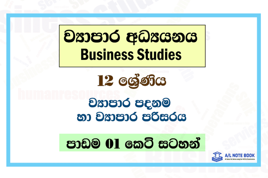 Viyapara Padanama Ha Viyapara Parisaraya | Grade 12 Business Studies Lesson 01 Short Notes