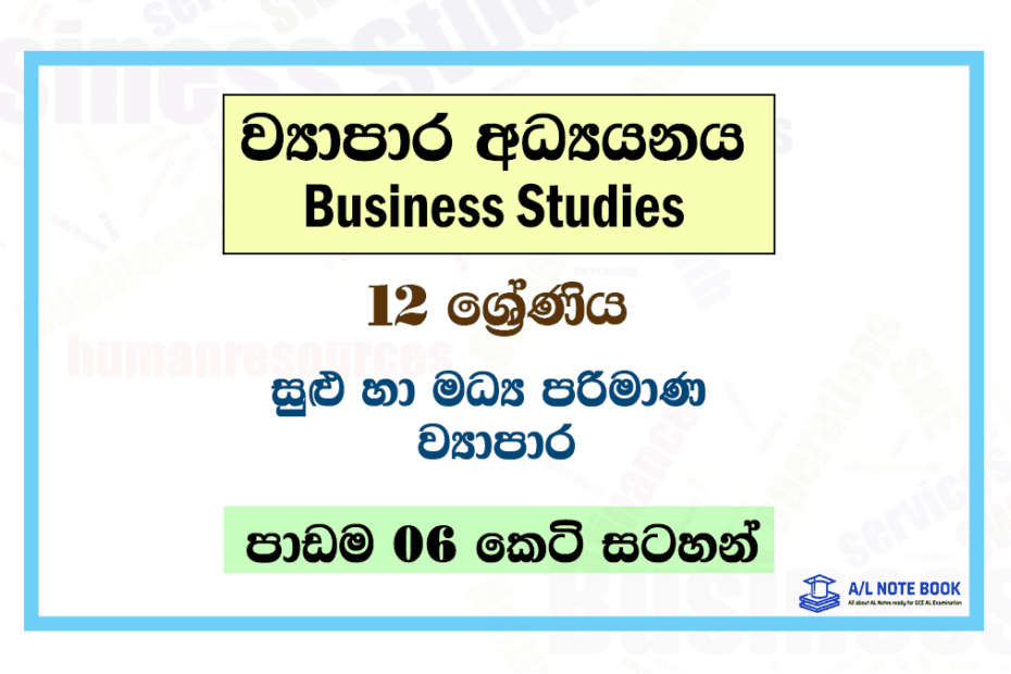 Sulu ha Madhya Parimana Viyapara | Grade 12 Business Studies Lesson 06 Short Notes