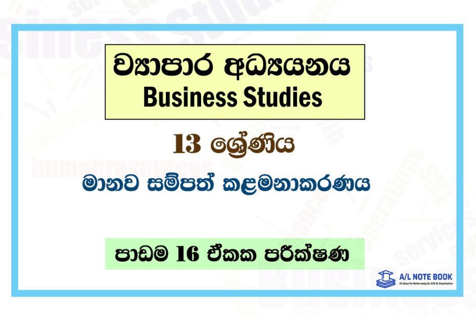 Human Resource Management | Grade 13 Business Studies Lesson 16 Unit Test Papers