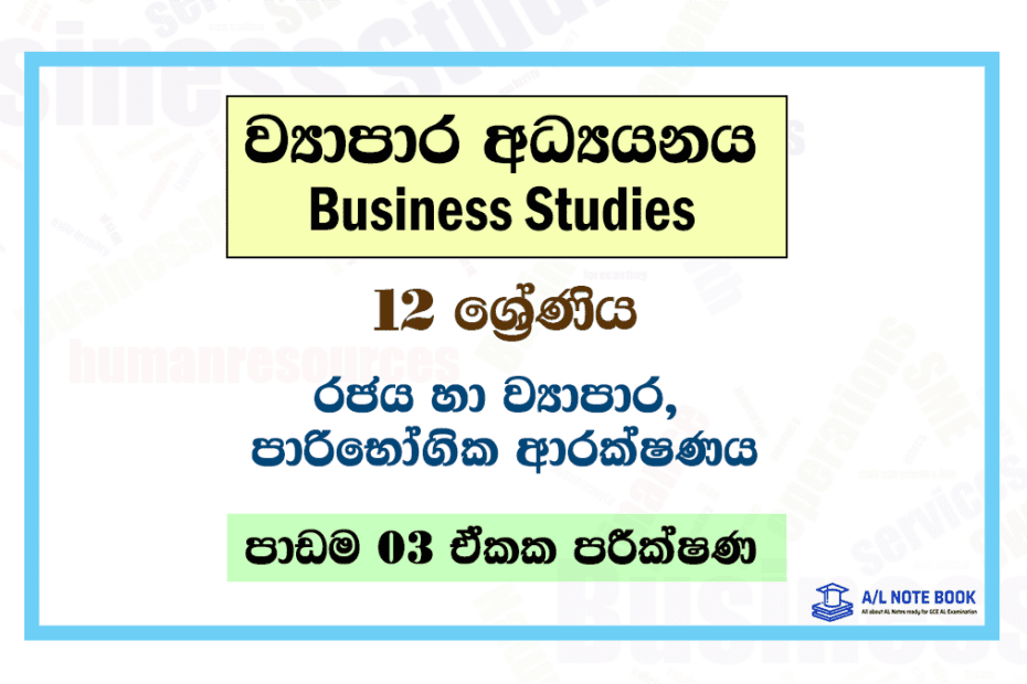 Government And Business | Grade 12 Business Studies Lesson 03 Unit Test Papers